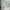 Babydecke Lil Planet frosty green 