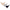 3er-Pack Wende-Dreieckstuch Ringel Hunde