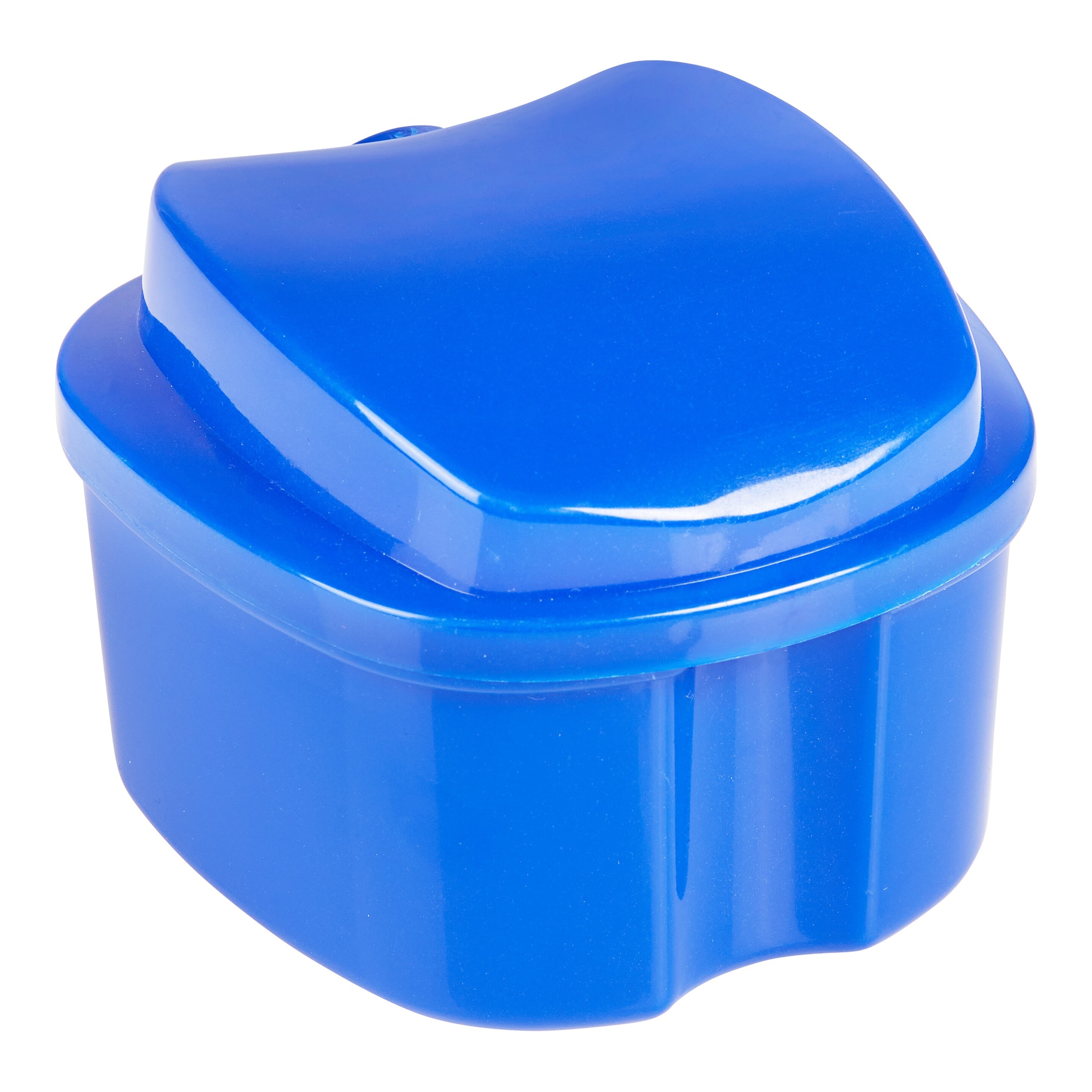 Walzvital Prothesen-Box blau