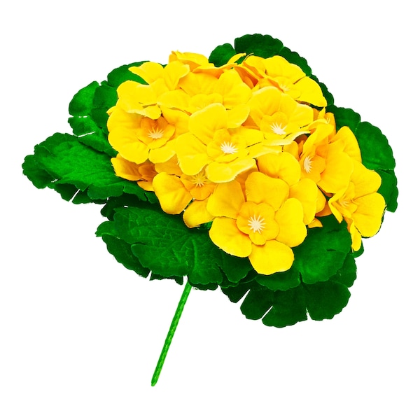 Produktvorschaubild 1