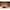 Kissen Stern