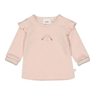 Shirt langarm Rüsche Rotkehlchen