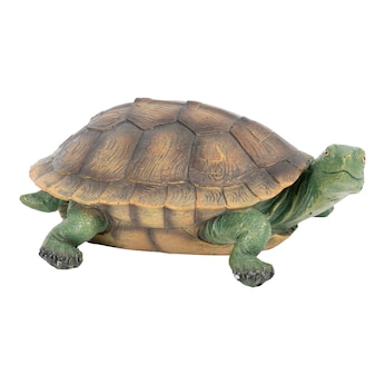 Tortue