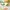 Kinder Teppich Maui Kids Urwald