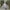 Sonnenbrille 9-24 Monate