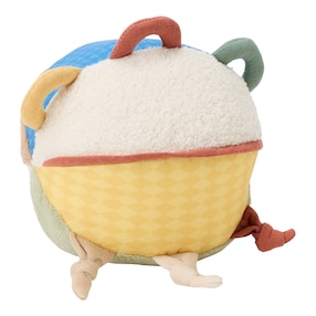 Activity Ball