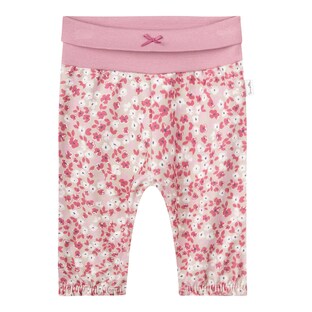 Webhose gefüttert Blumen