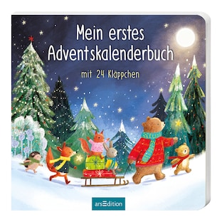 Mein erstes Adventskalenderbuch