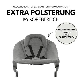 Babywippe Bouncer Premium für Alpha und Beta