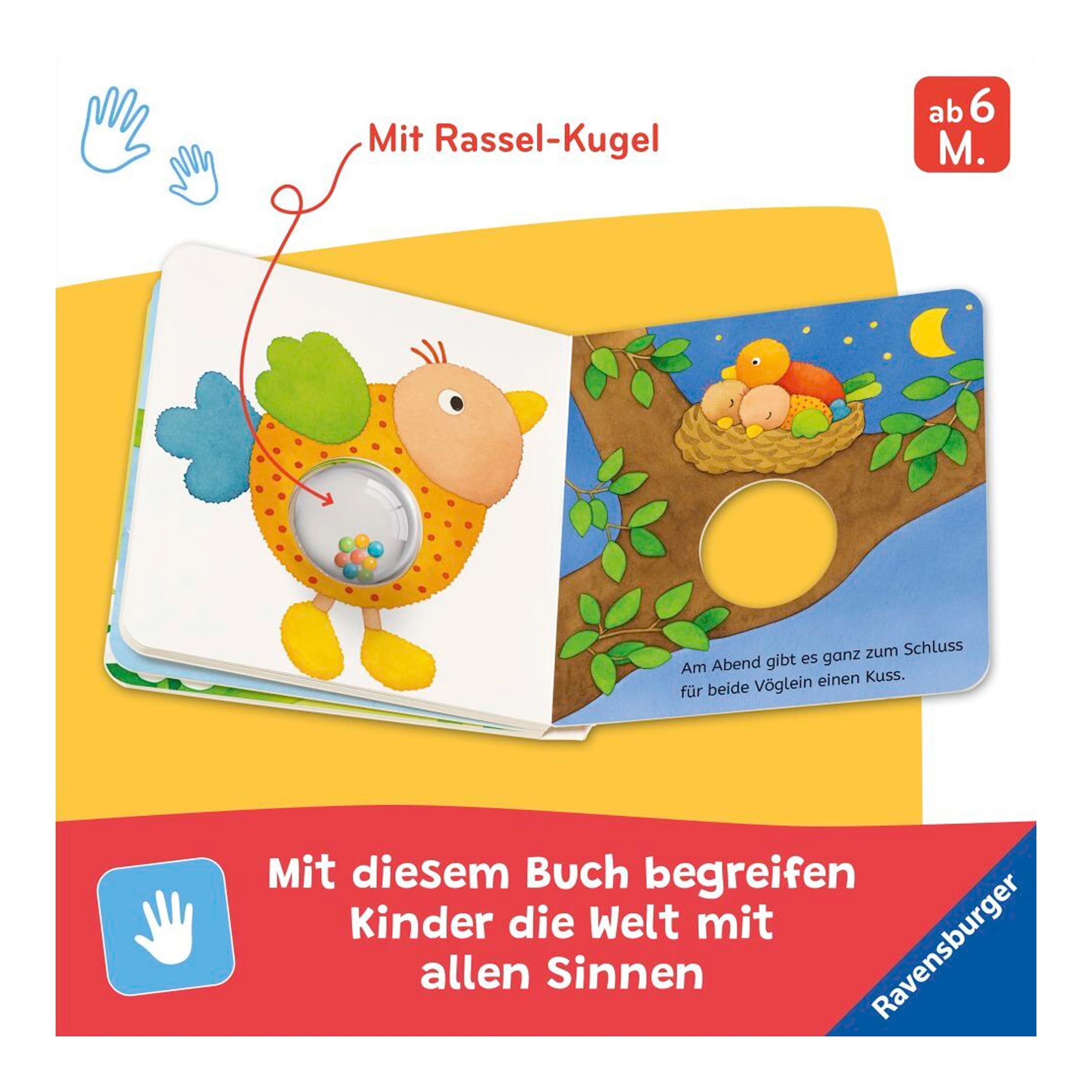 Pappbilderbuch Meine bunten Ri-Ra-Rasseltiere