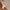 Sommer-Sleepoverall Leinen 0.5 TOG