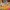 42687 Lianns Familienhaus