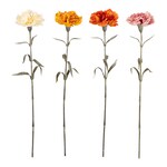 Herfstbloemen “Anjer”, 4 stuks