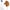 Steckenpferd Hobby Horse