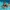 Schwimm-Nudel