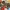 11045 Kreative Bunte Steine