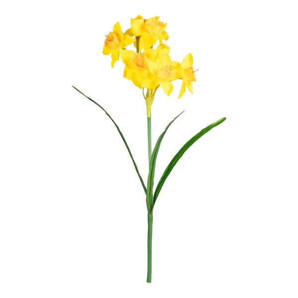 Aperçu du produit 1