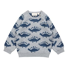 Pullover Dinos