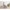 Puppenwagen 3in1 Maxi-Cosi