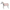 Accessoires Set Decke und Halfter roba Style rosa 