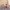 Spieltrapez