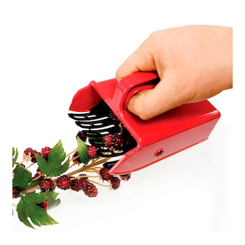 Beeren-Pflücker