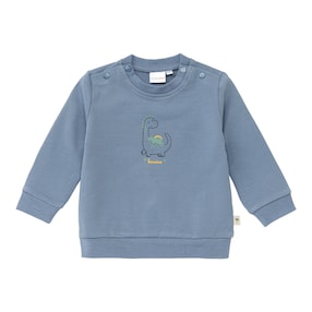 Sweatshirt Dino