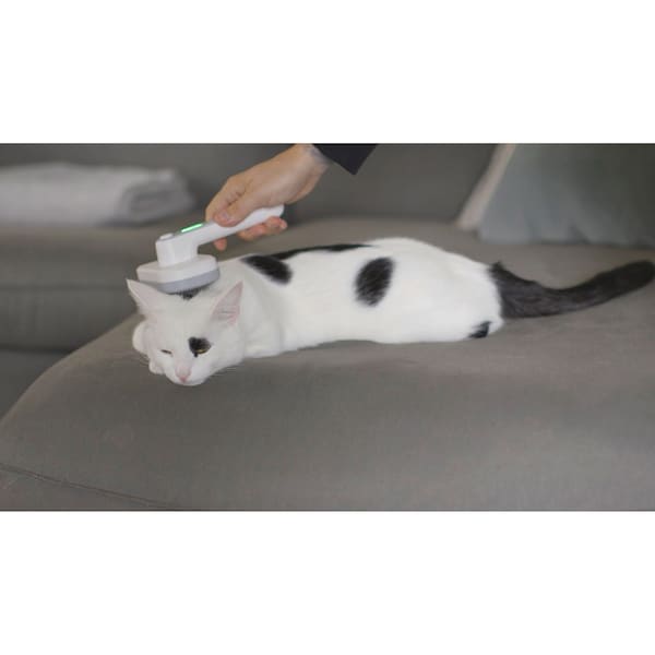 Aperçu du produit 4