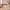Kinder Teppich Softstar Kids Fantasy Bunt
