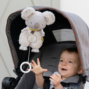Spieluhr Koala Australia 19cm