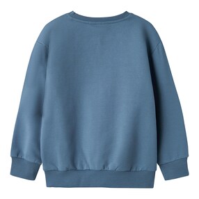 Sweatshirt Dino Auto