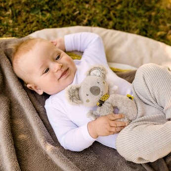 Ring-Greifling Koala Australia