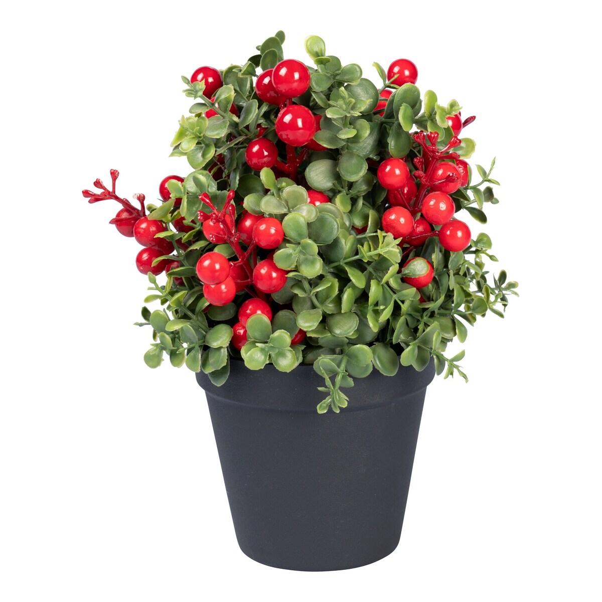 Image produit 1