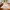Kinder Teppich Softstar Kids Dinowelt
