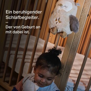 Einschlafhilfe Ollie Eule