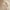 Greifling  mit Rassel Reh  - ab Geburt