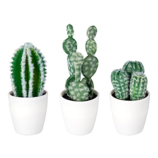 "Mini" cactusset
