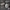 2er-Pack Schnuller Latex 0-6M