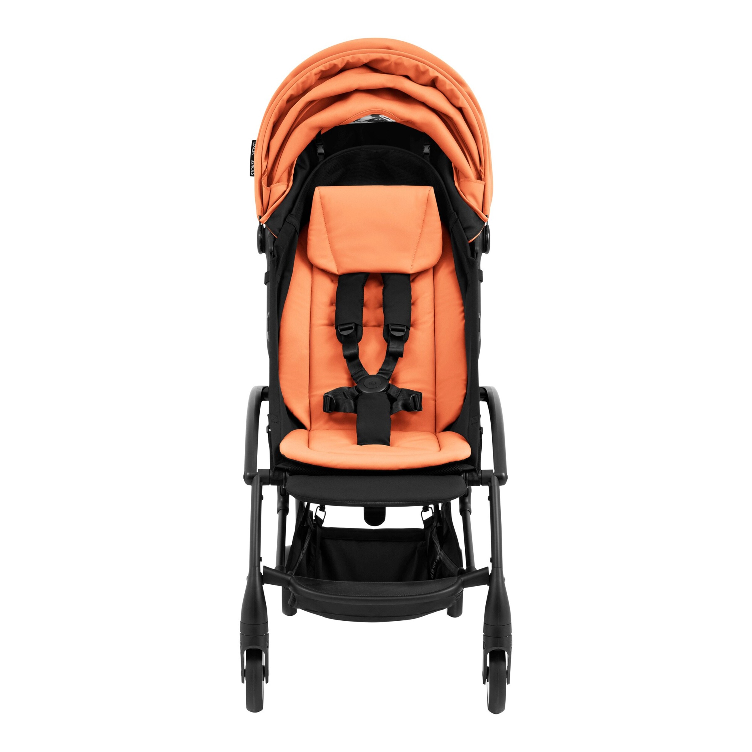 Buggy