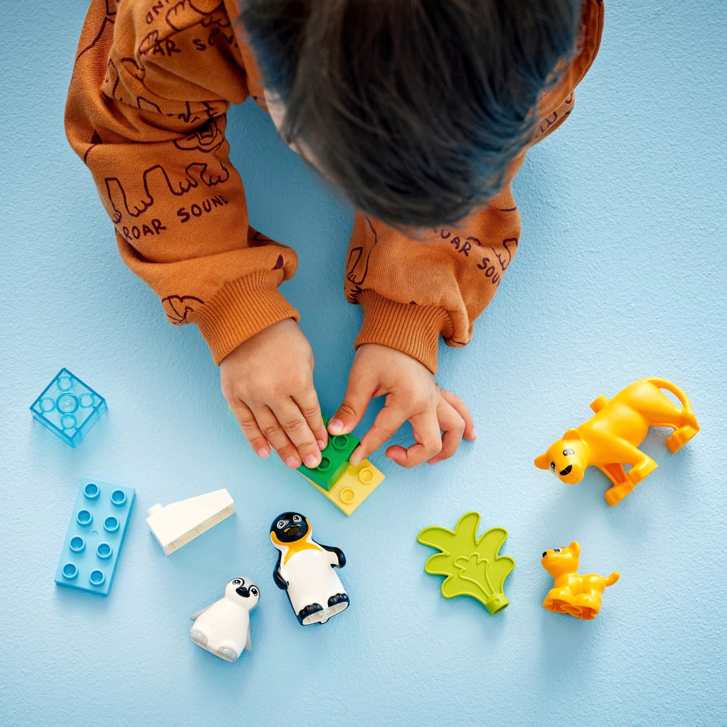 10442 Wildtier-Familien: Pinguine und Löwen