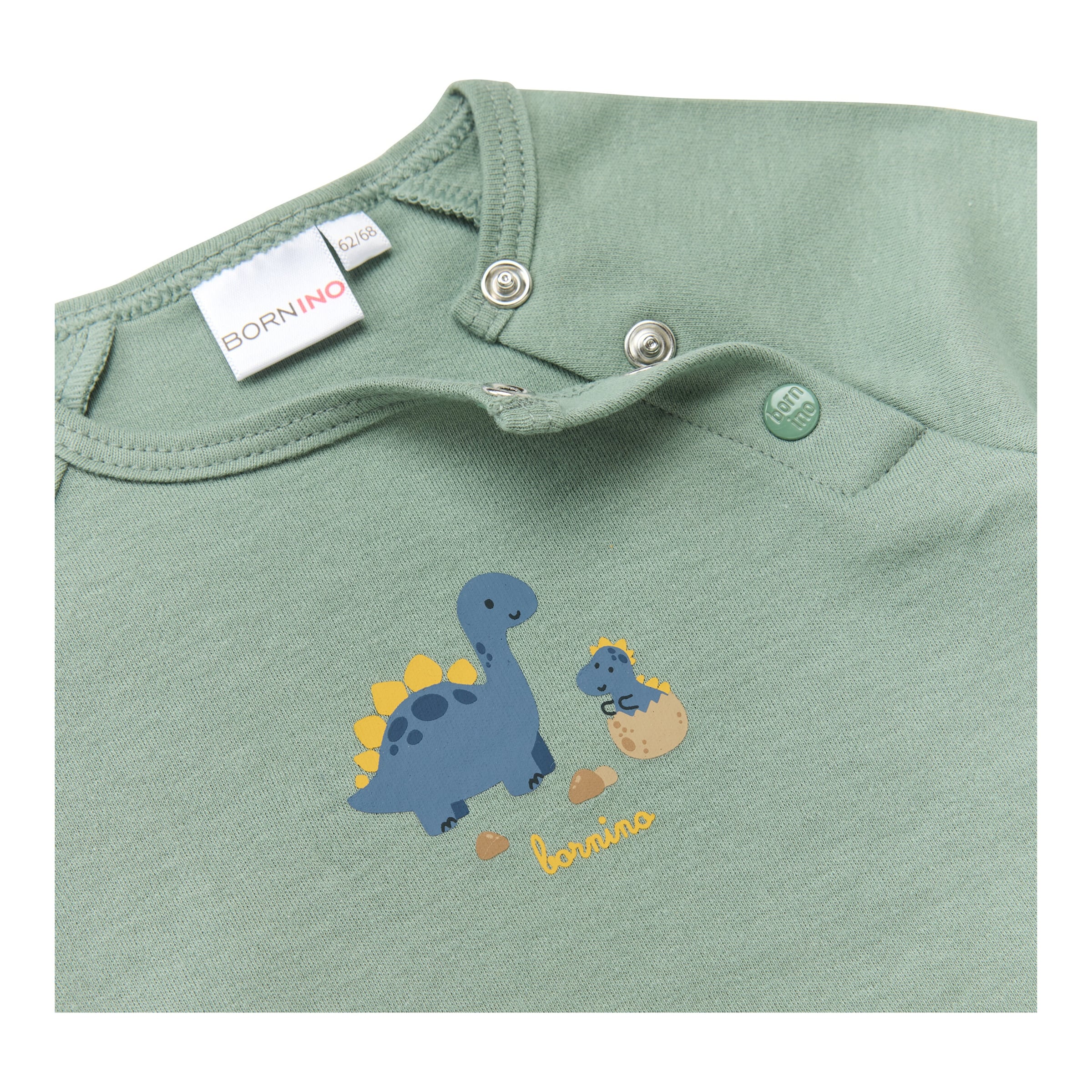 Raglanshirt langarm Dino