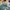 42688 Pferdestall und Reitschule