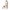 Trinkflasche 500 ml