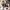 Babynahrungszubereiter und Sterilisator Nutribaby Plus XL