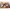 6er-Set Portionsbehälter aus Glas 150 ml