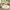 Kinder Teppich Maui Kids Safari Tiere Bunt Rund