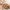 Fieberthermometer ExpressTemp mit flexibler Spitze