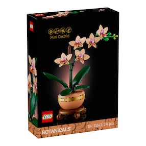 10343 Mini-Orchidee
