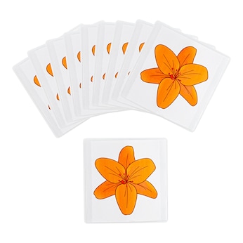 Attrape-mouches « Fleur », 10 pièces