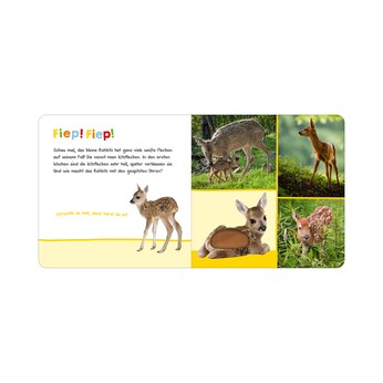 Soundbilderbuch Hör mal rein, wer kann das sein? - Tierbabys